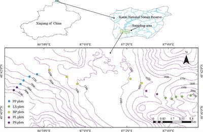 Analysis of nutrient resorption efficiency and homeostasis of four tree species in Kanas natural forest, Xinjiang, China